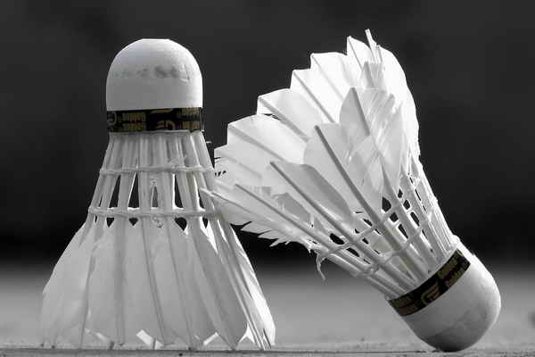 Volants de badminton en plumes et en nylon de haute qualité